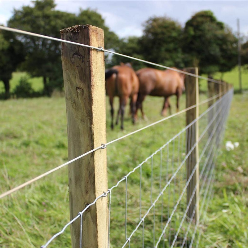 Agricultural Fencing Wire: The Complete Guide for Livestock, Crop, and Vineyard Applications